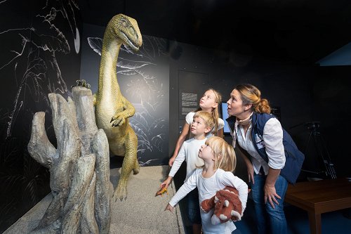 Center_Tavčar Bojan (4)