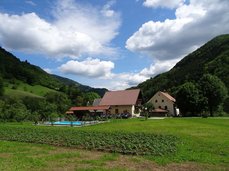 Želinc